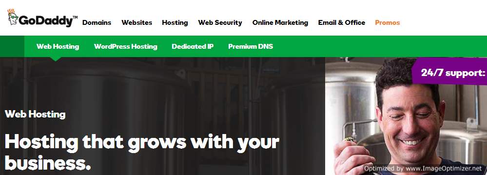 Godaddy home page image